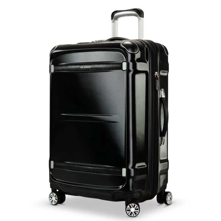 Rodeo Drive 2.0 Hardside Medium Check-In Expandable Spinner