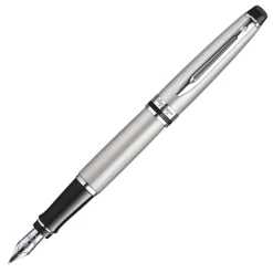 Waterman Expert Stainless Steel CT Fountain Pen Fine S0952040